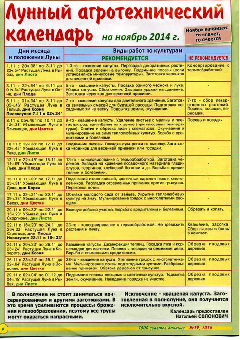 1000 советов дачнику 2014'19_4 (493x700, 582Kb)