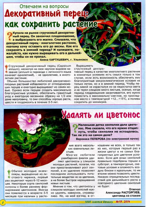1000 советов дачнику 2014'19_8 (493x700, 499Kb)