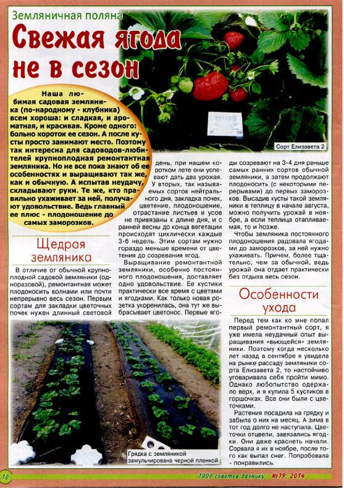 1000 советов дачнику 2014'19_10 (493x700, 495Kb)