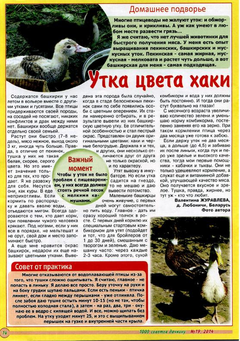 1000 советов дачнику 2014'19_14 (493x700, 483Kb)