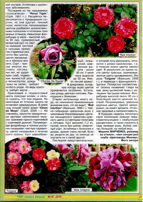 1000 советов дачнику 2014'19_23 (493x700, 490Kb)