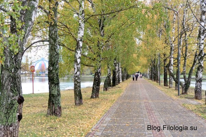 Осенняя аллея в Парке Дружбы в Москве
