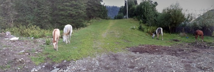 20190809_200102-PANO (700x236, 62Kb)