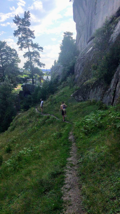 IMG-20190813-WA0080 (1) (393x700, 328Kb)