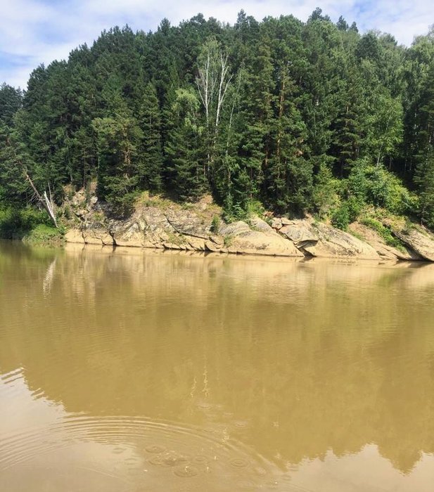 IMG-20190813-WA0149 (1) (617x700, 105Kb)