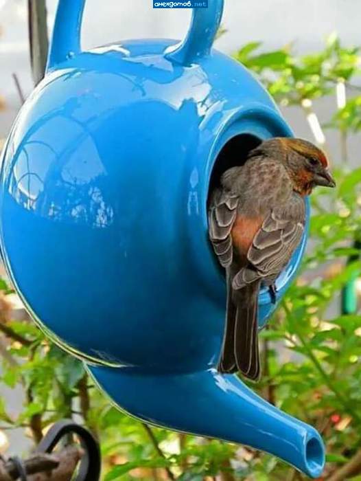 109_FB_IMG_1570353617705 (526x700, 40Kb)