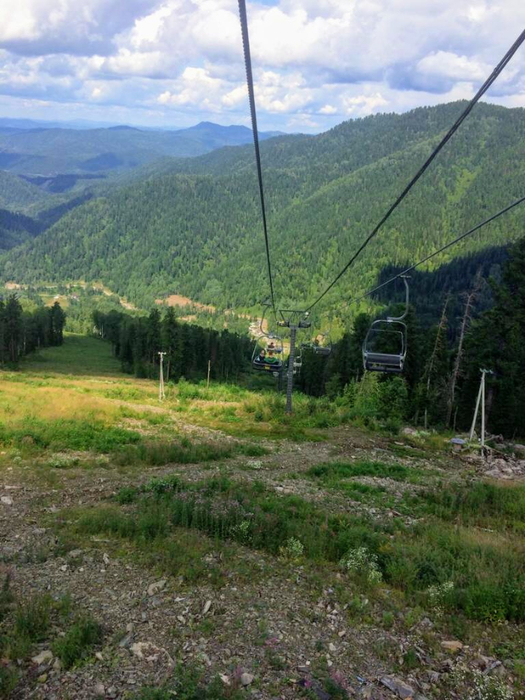 IMG-20190820-WA0096 (1) (525x700, 416Kb)