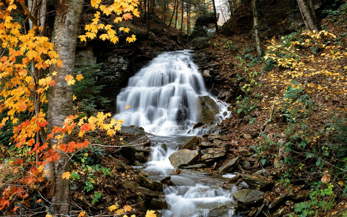 Nature___Seasons___Autumn_The_waterfall_autumn_046314_ (700x437, 537Kb)