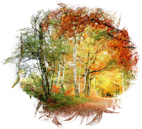 Autumn Backgrounds #1 (20) (600x542, 659Kb)