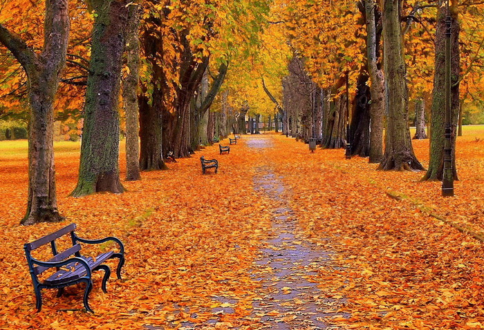 150096015_21 (700x478, 696Kb)