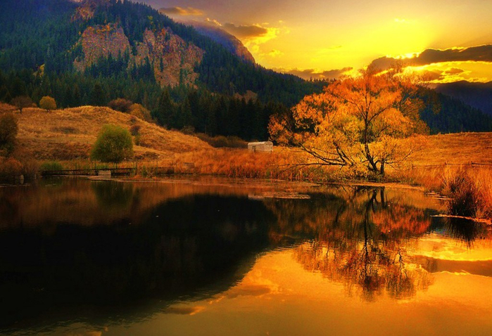 Autumn_gold_Wallpaper__yvt2-1024x700 (700x478, 395Kb)