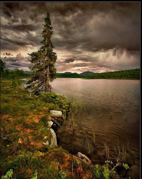 876 (559x700, 145Kb)