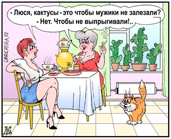 3085196_karikaturazhenskiysekret_viktordidyukin_16267 (600x486, 71Kb)