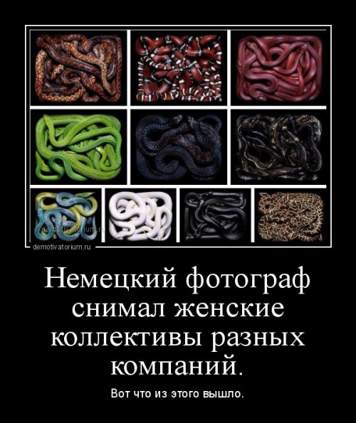 original (77) (500x595, 66Kb)