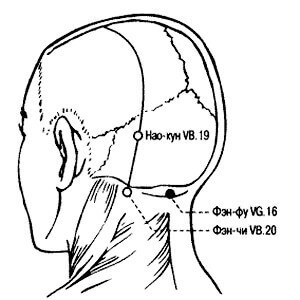 5634411_333cont (450x450, 19Kb)