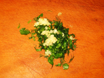  IMG_4472 (700x525, 361Kb)