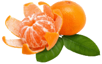 kisspng-clementine-mandarin-orange-tangerine-juice-5d094fb7b75d51.7997035815608913197511 (200x126, 11Kb)