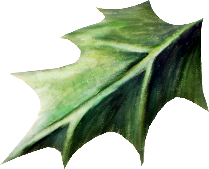 NLD Holly leaf (680x550, 432Kb)