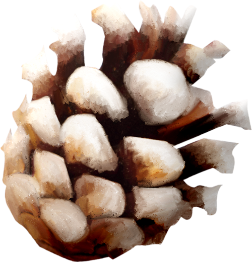 NLD Pine cone (500x521, 353Kb)