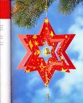  Zauberhafte Weihnachtssterne25 (566x700, 320Kb)