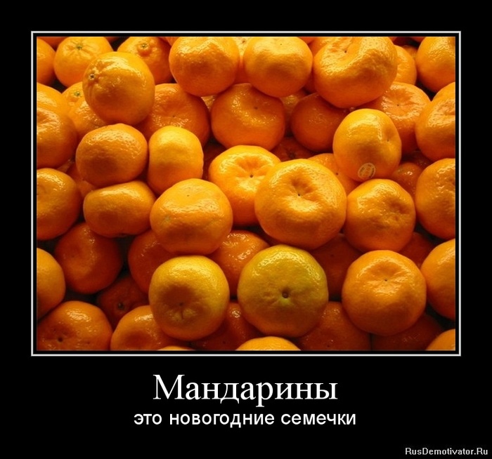 1324830806-mandariny (700x654, 117Kb)