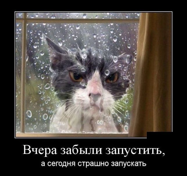 4f6c6d564827d2abd062f0a48ec8f25e (642x606, 57Kb)