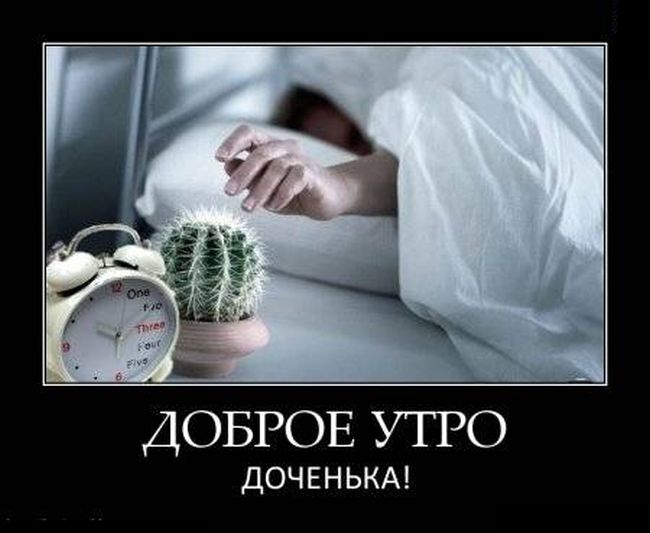   (650x533, 38Kb)