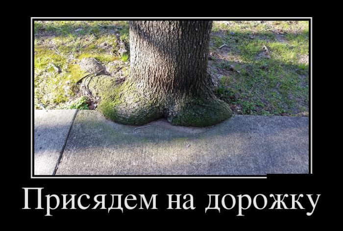 - (700x472, 71Kb)
