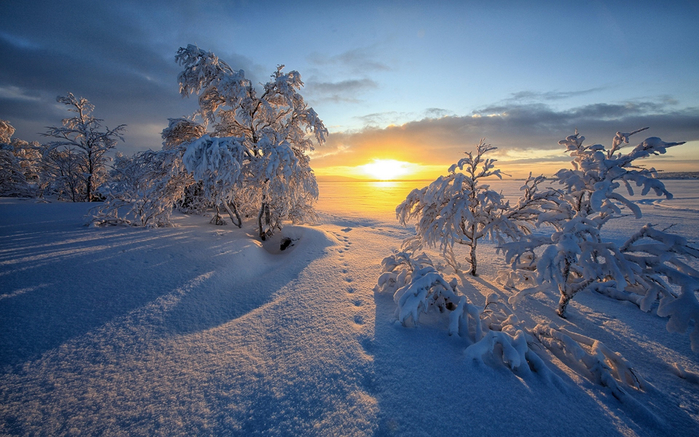 зимний пейзаж фото 1 (700x437, 412Kb)