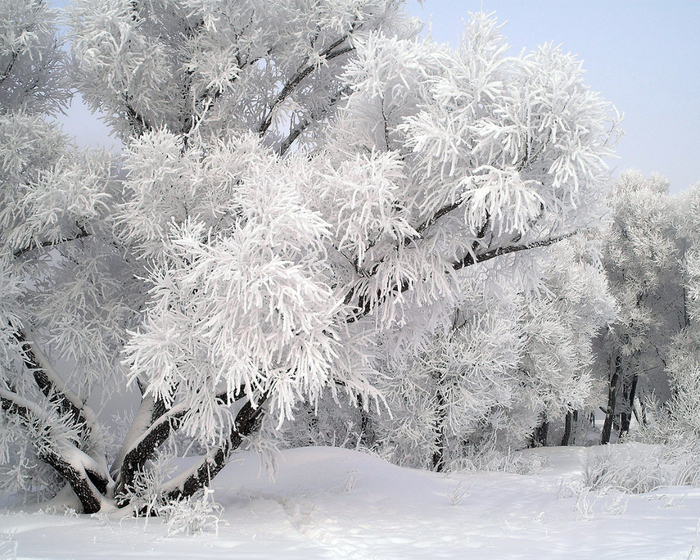 зимний пейзаж фото 7 (700x560, 512Kb)