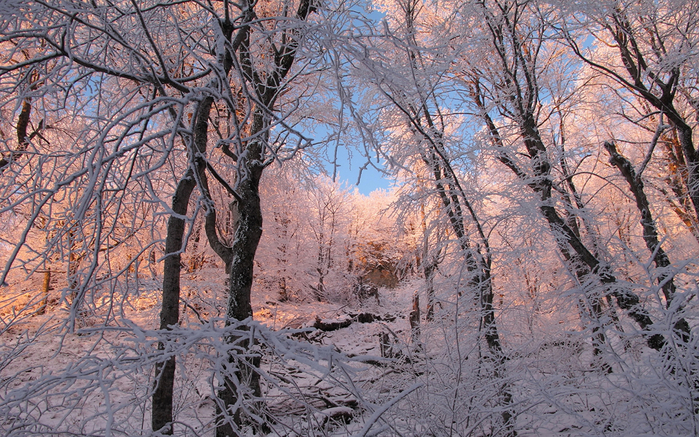 зимний пейзаж фото 19 (700x437, 542Kb)
