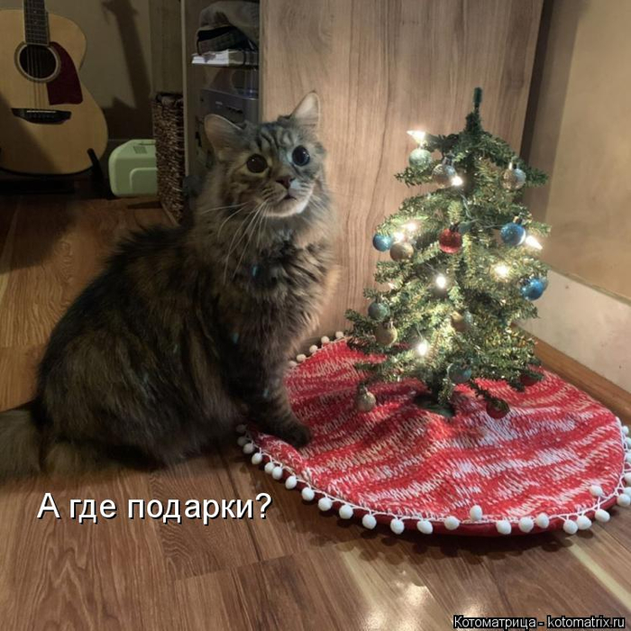 kotomatritsa_J (700x700, 432Kb)