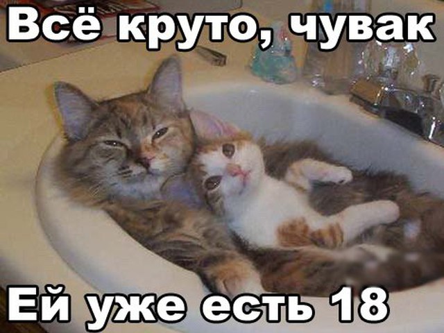 5402287_203415_18f9 (640x480, 59Kb)