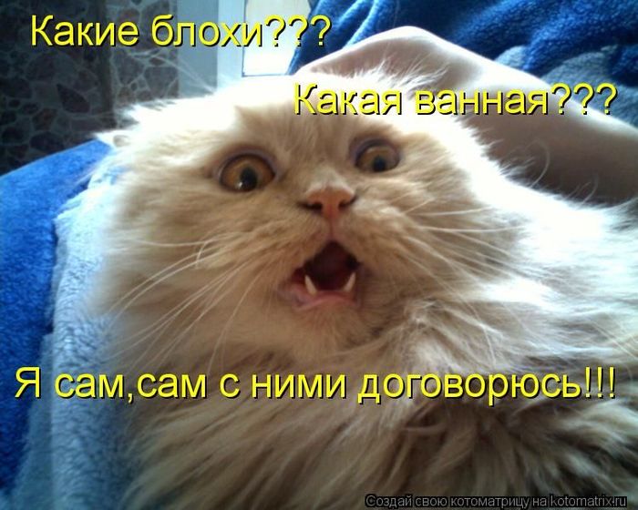 5402287_c0d08a6fa2abf75a83d774b46d6d23a5 (700x560, 69Kb)