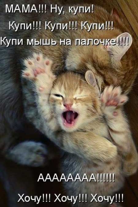5402287_koshki_i_kotyata11 (450x674, 37Kb)