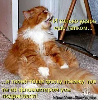 5402287_1c1b0531f8739c8853617a7b5817cf36_1_ (315x320, 27Kb)