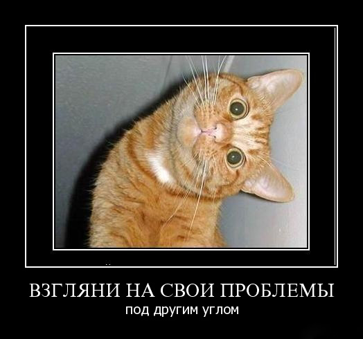 1248973394-prikolnye-kartinki-s-podpisjami-103-foto_AddFun.ru_74 (524x490, 84Kb)