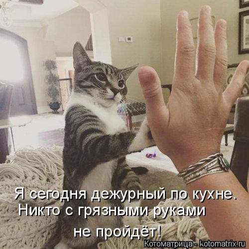 kotomatritsa_1 (500x500, 168Kb)
