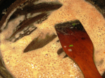  IMG_4074 (700x525, 321Kb)