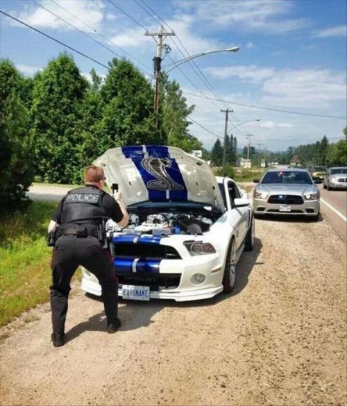 1579680451_policejskie-budni-12 (500x585, 211Kb)