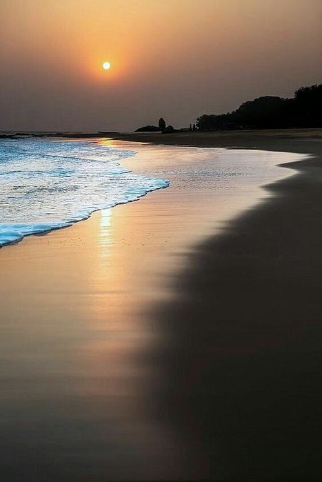 IMG_20200217_142445 (467x700, 37Kb)