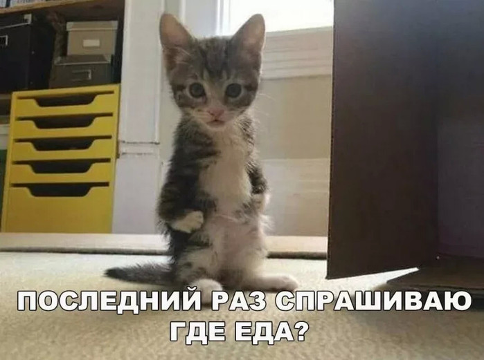 4743317_kk (700x521, 74Kb)