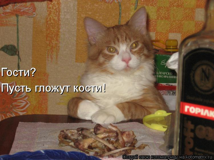 kotomatritsa_Q (700x524, 349Kb)