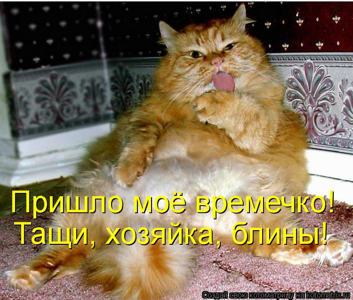 kotomatritsa_v (700x593, 463Kb)
