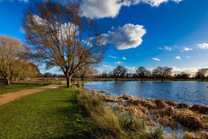 london_parks_landscapes_bushypark_londonparks_royalparks_scenic_uk-934835.jpg!d (700x467, 116Kb)