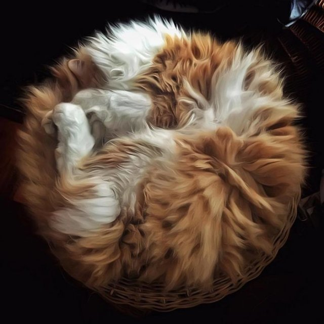 1 (25) (640x640, 192Kb)