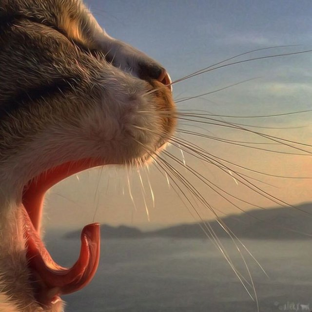 1 (31) (640x640, 200Kb)