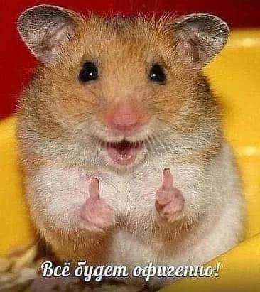 1. мышек. 81090049_1027096297625906_944282408662859776_n (366x411, 28Kb)