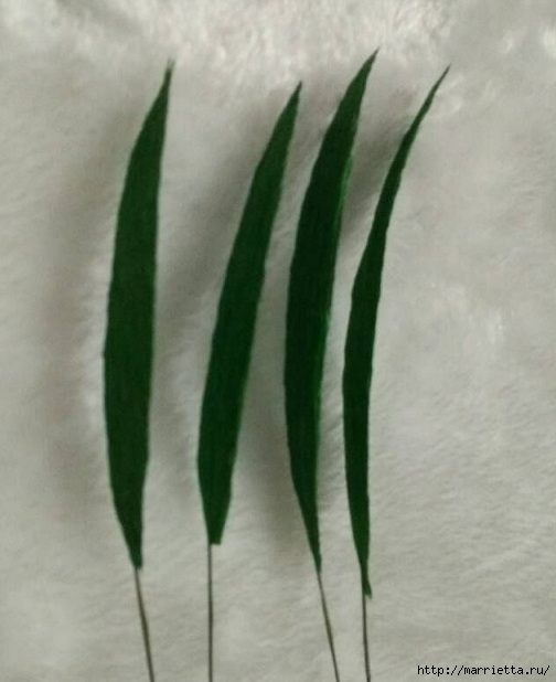 Китайская махровая гвоздика из бумаги. Мастер-класс (17) (504x618, 121Kb)