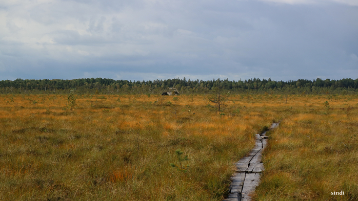 IMG_7337 (700x393, 321Kb)